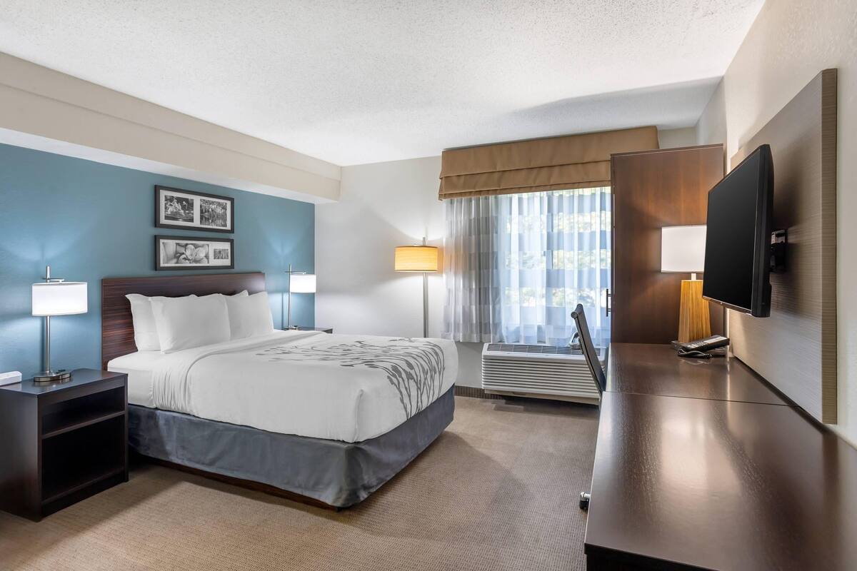 A hotel room with a bed, bedside tables, a TV, a window with curtains, and wall-mounted artwork.