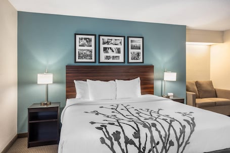 Room | 1 King Bed + Sofa Bed | Sleeps 3 | Free Breakfast. Sleep Inn State College near Penn State