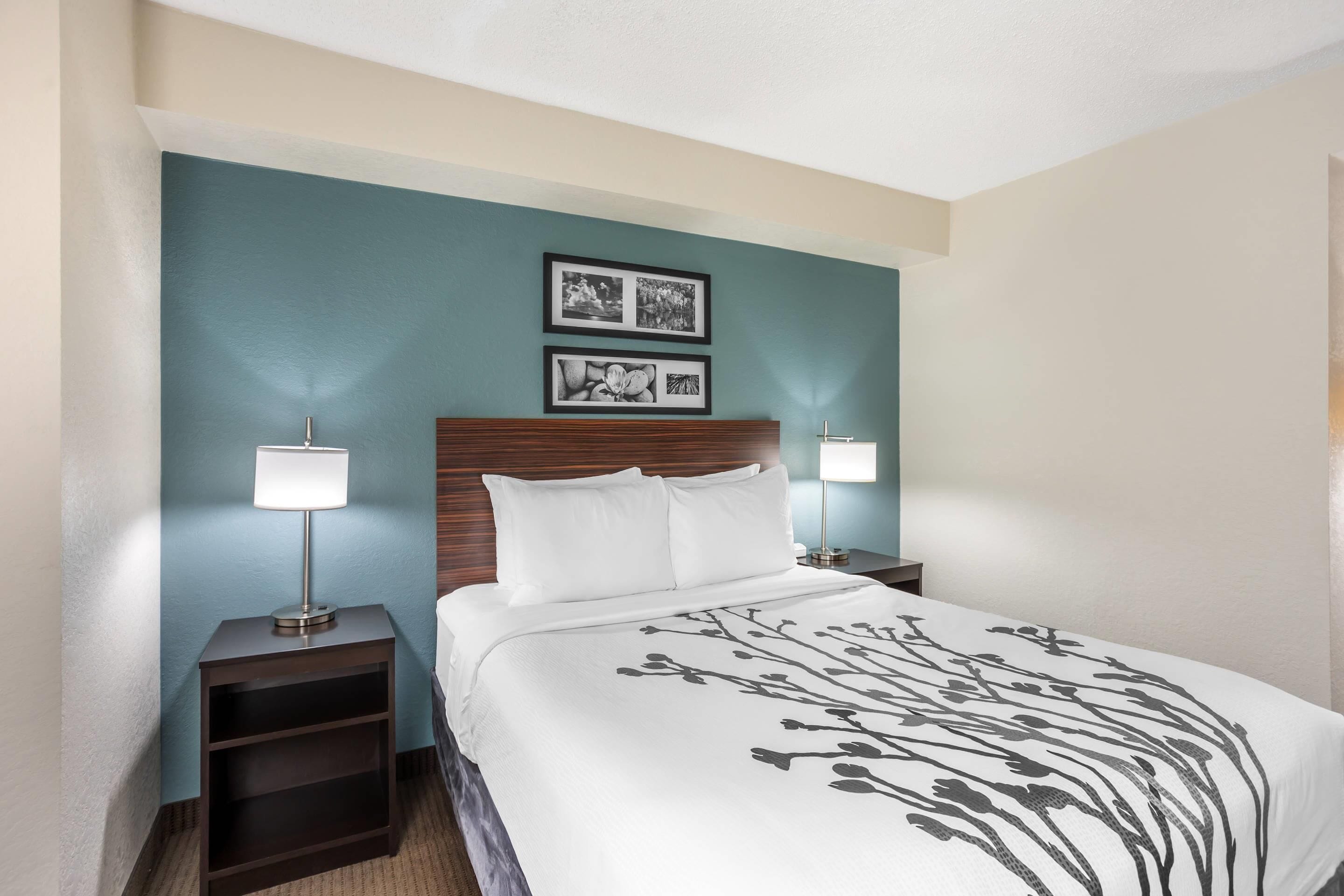 1 queen bed, accessible, roll-in shower, non-smoking, no pets allowed | in-room safe, desk, laptop workspace, blackout curtains