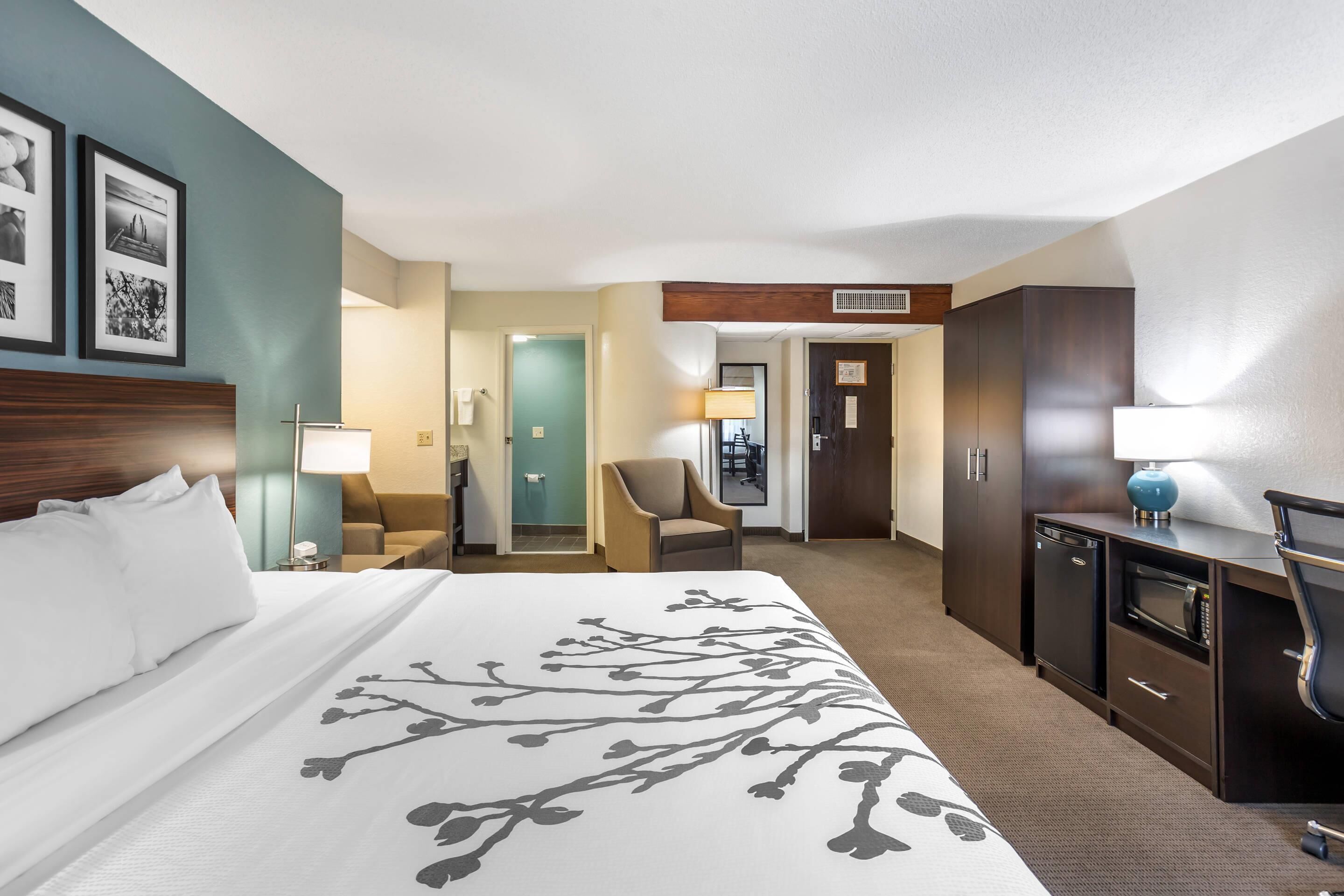 1 king bed, 1-person pullout sofa, non-smoking, no pets allowed | in-room safe, desk, laptop workspace, blackout curtains