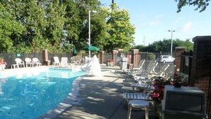 Una piscina con sillas de descanso y sombrillas, rodeada por un muro de ladrillo y follaje.