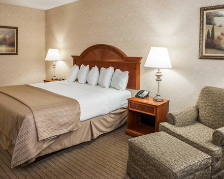 Quality Inn Indy Castleton - Image 27
