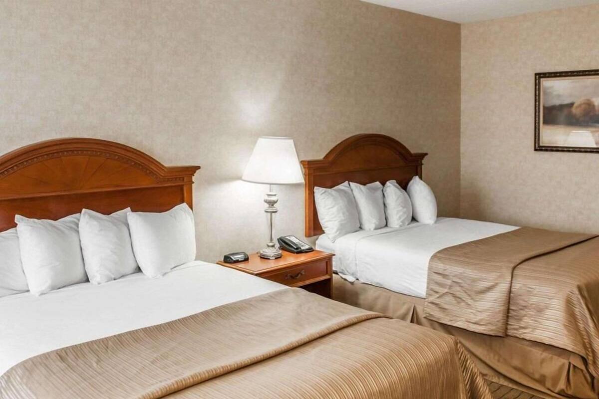 Premium bedding, pillowtop beds, desk, blackout drapes