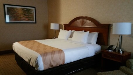 Quality Inn Indy Castleton - Image 34