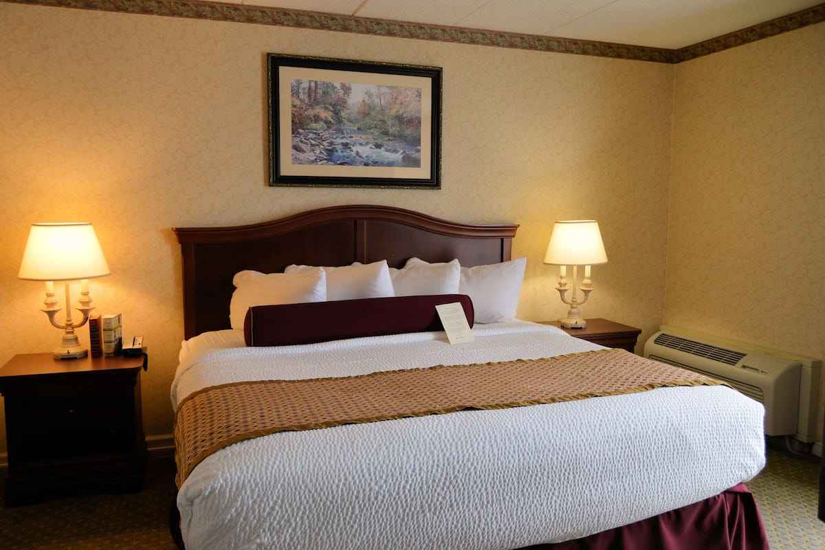 Standard Room, 1 King Bed, Non Smoking, Refrigerator & Microwave | 1 bedroom, premium bedding, pillowtop beds, desk