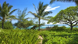 Un rigoglioso giardino con palme e vista libera sull'oceano.