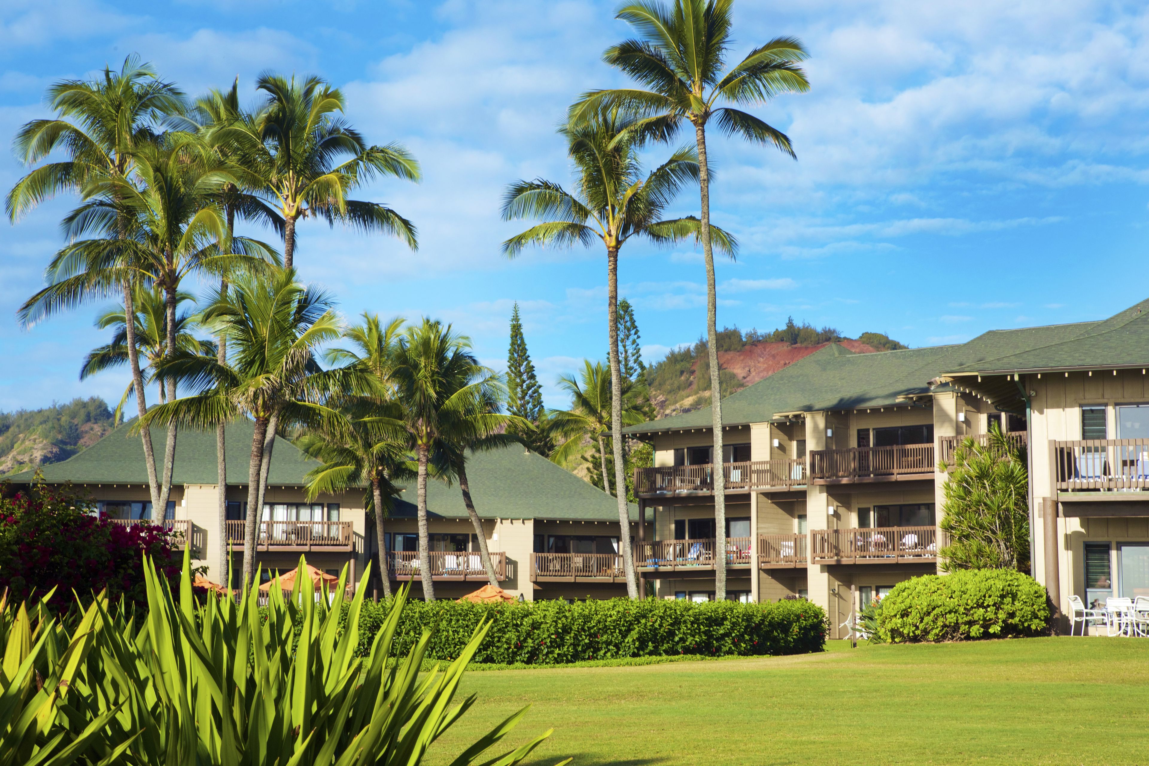 A hotel with multiple balconies, palm trees, and a green lawn.
