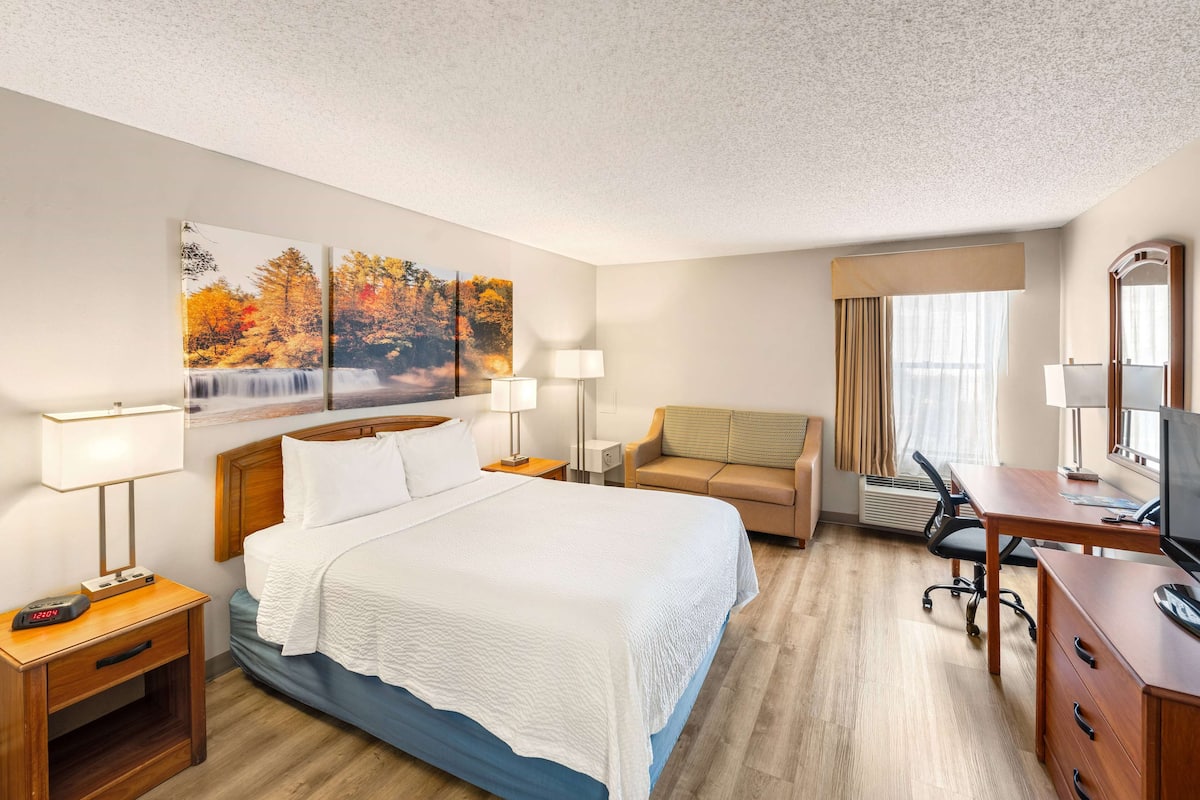 Business Room, 1 Queen Bed | Premium bedding, desk, blackout drapes, iron/ironing board