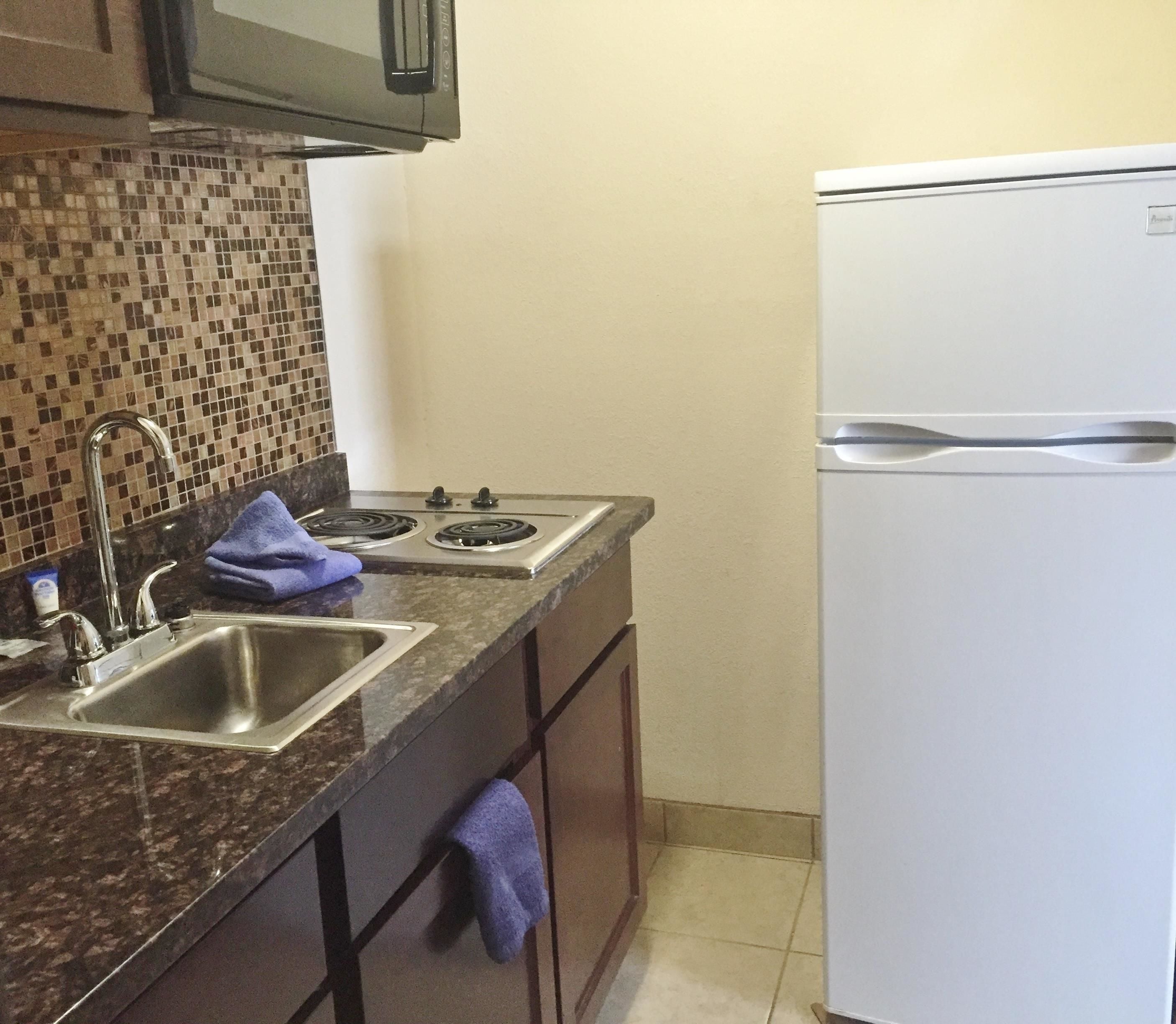 A kitchen with a double sink, two burners, a microwave, and a white refrigerator.