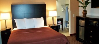 Americas Best Value Inn Romulus Detroit Airport