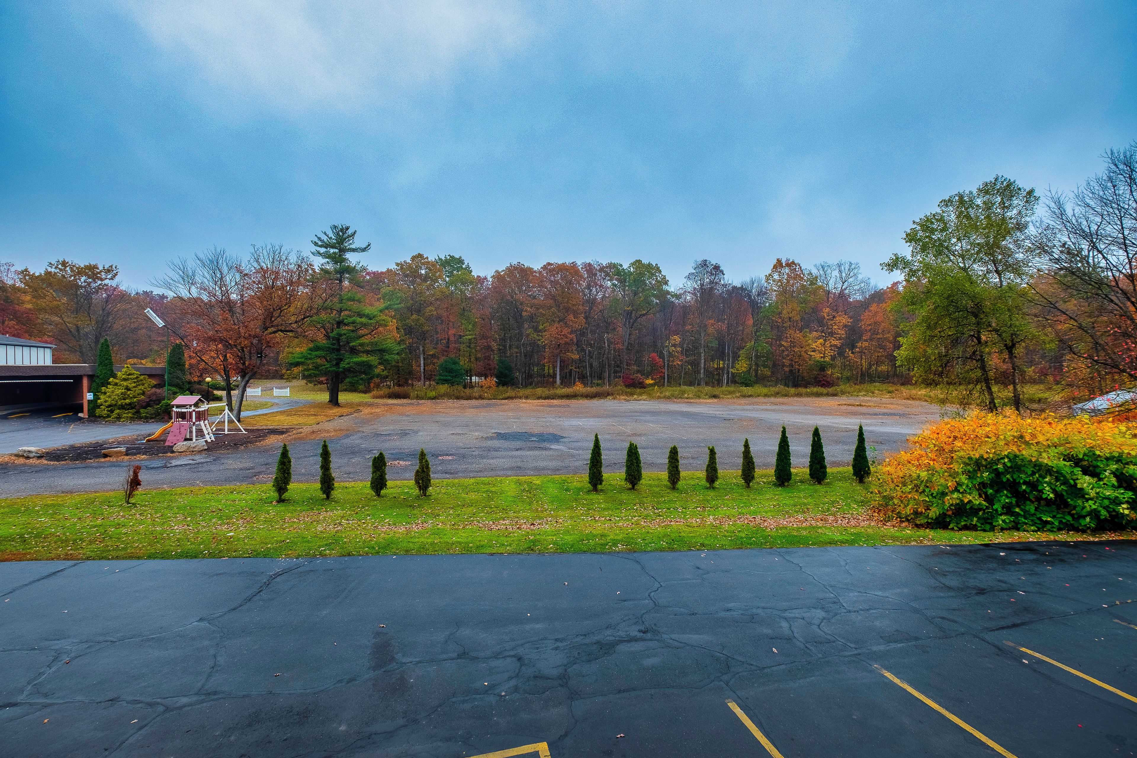 A parking lot with trees in the background.