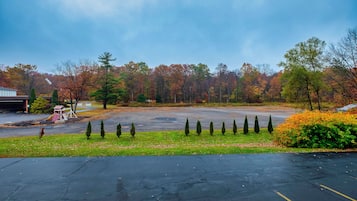 A parking lot with trees in the background.