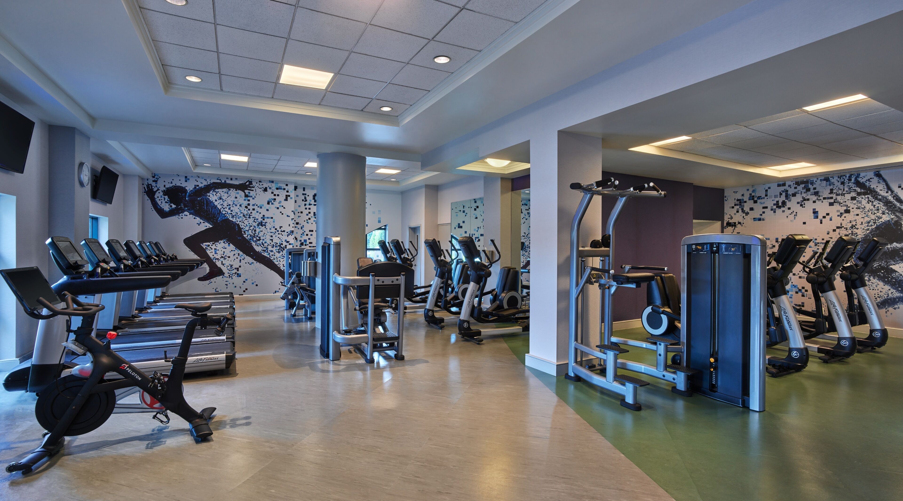 Foto - Walt Disney World Swan Reserve