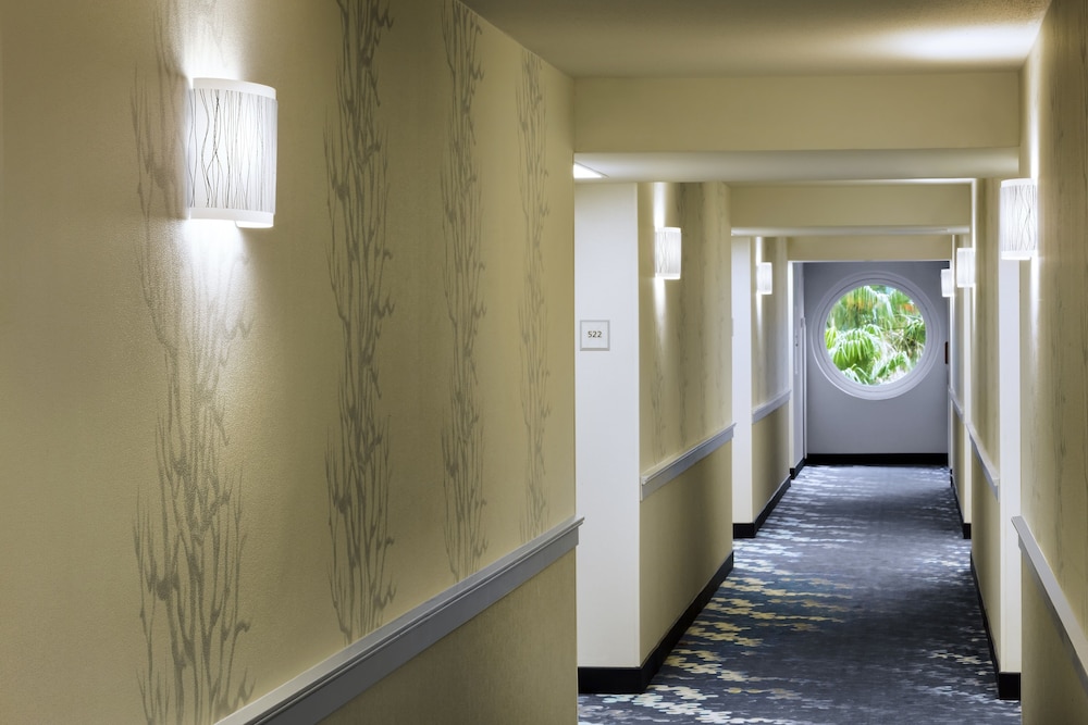 Walt Disney World Swan by null Walt Disney World Swan by null