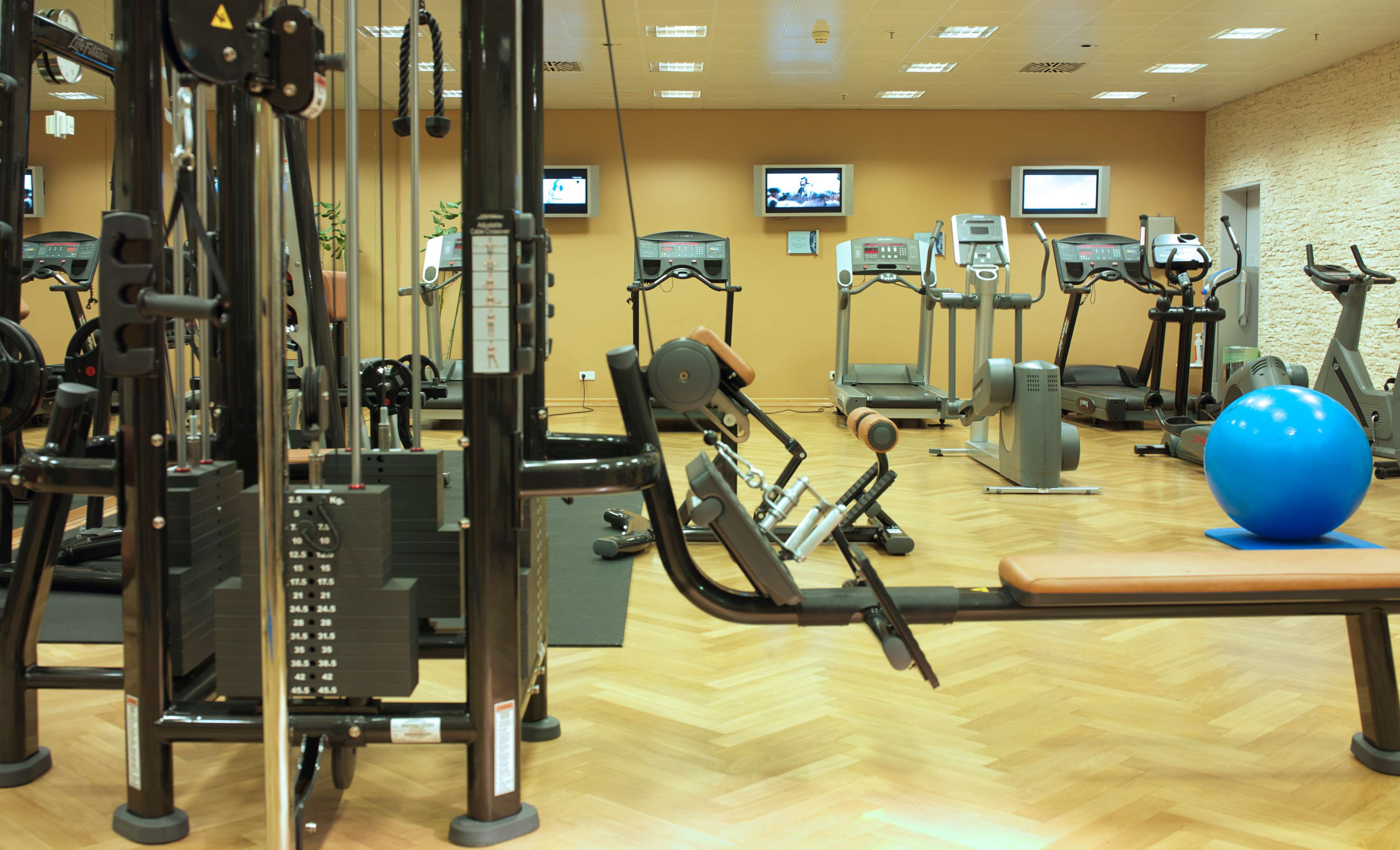 Ein Fitnessstudio mit verschiedenen Trainingsgeräten, Laufbändern und einem blauen Trainingsball.