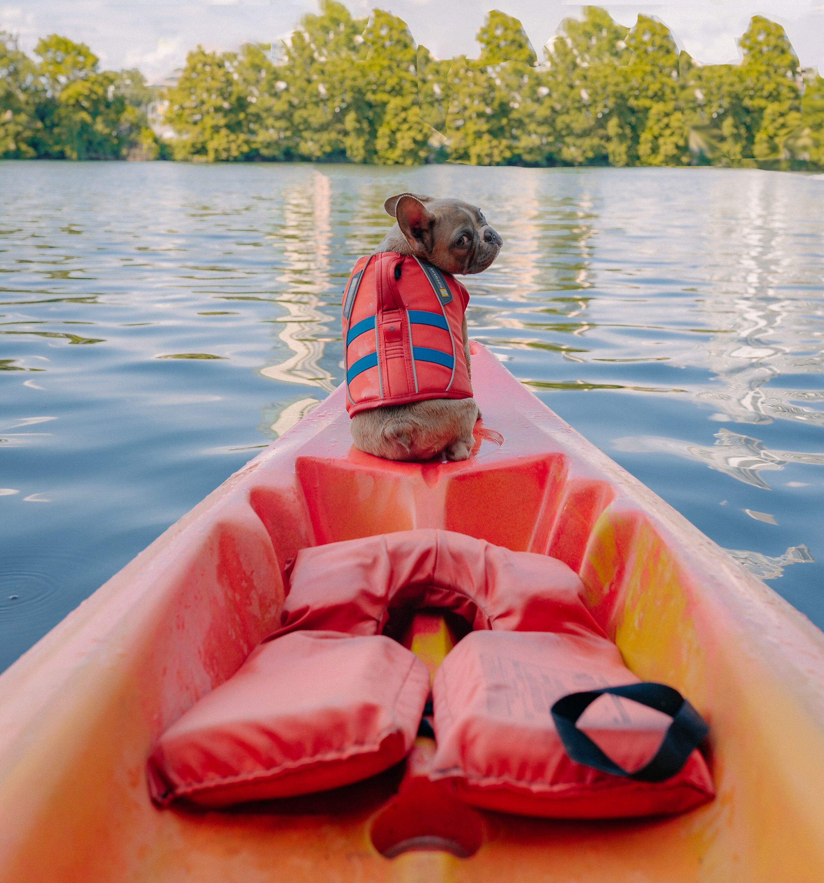 A dog in a kayak on a calm body of water with trees in the background.
