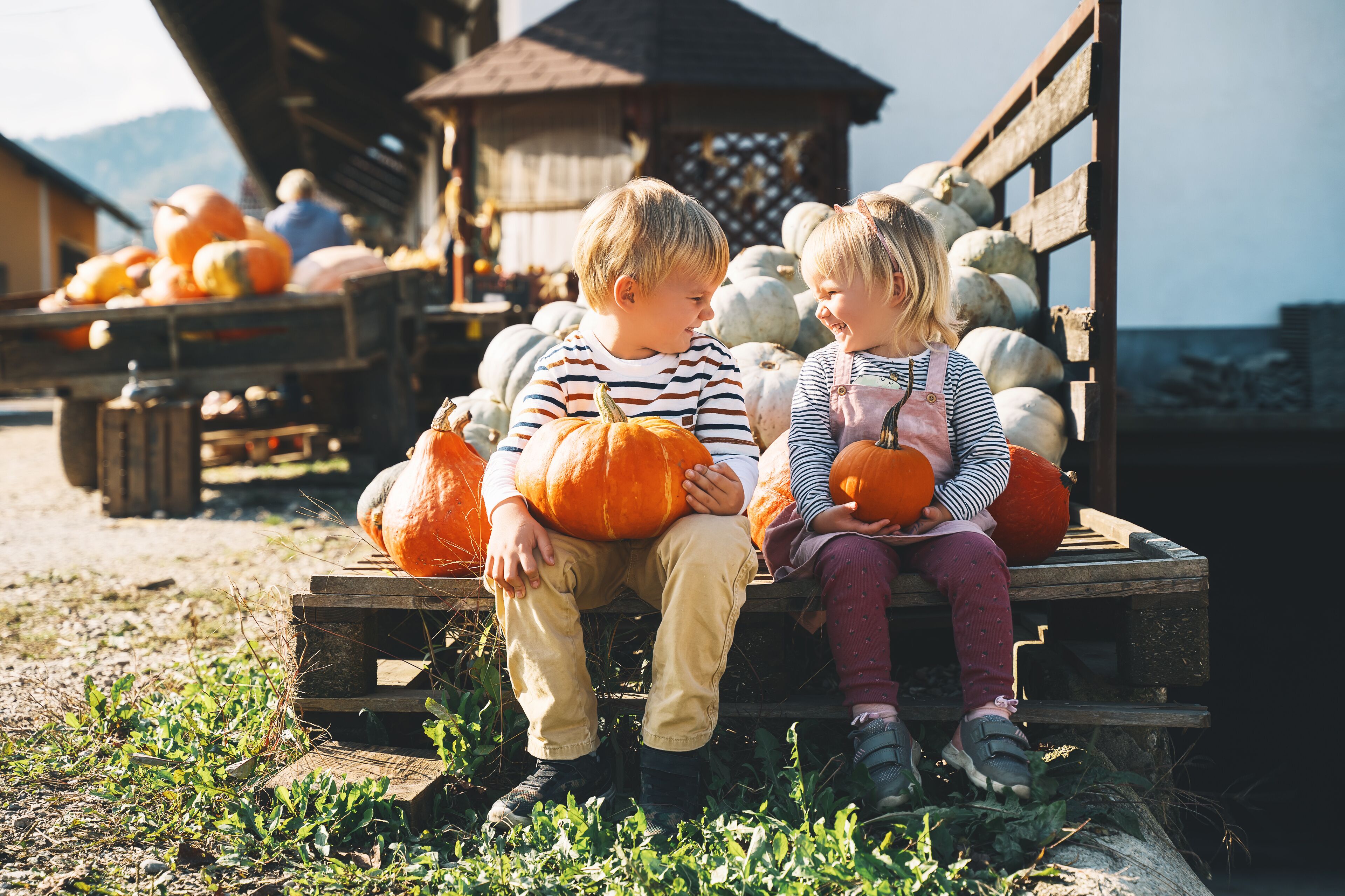 Two children sitting on a wooden bench outdoors, holding pumpkins.