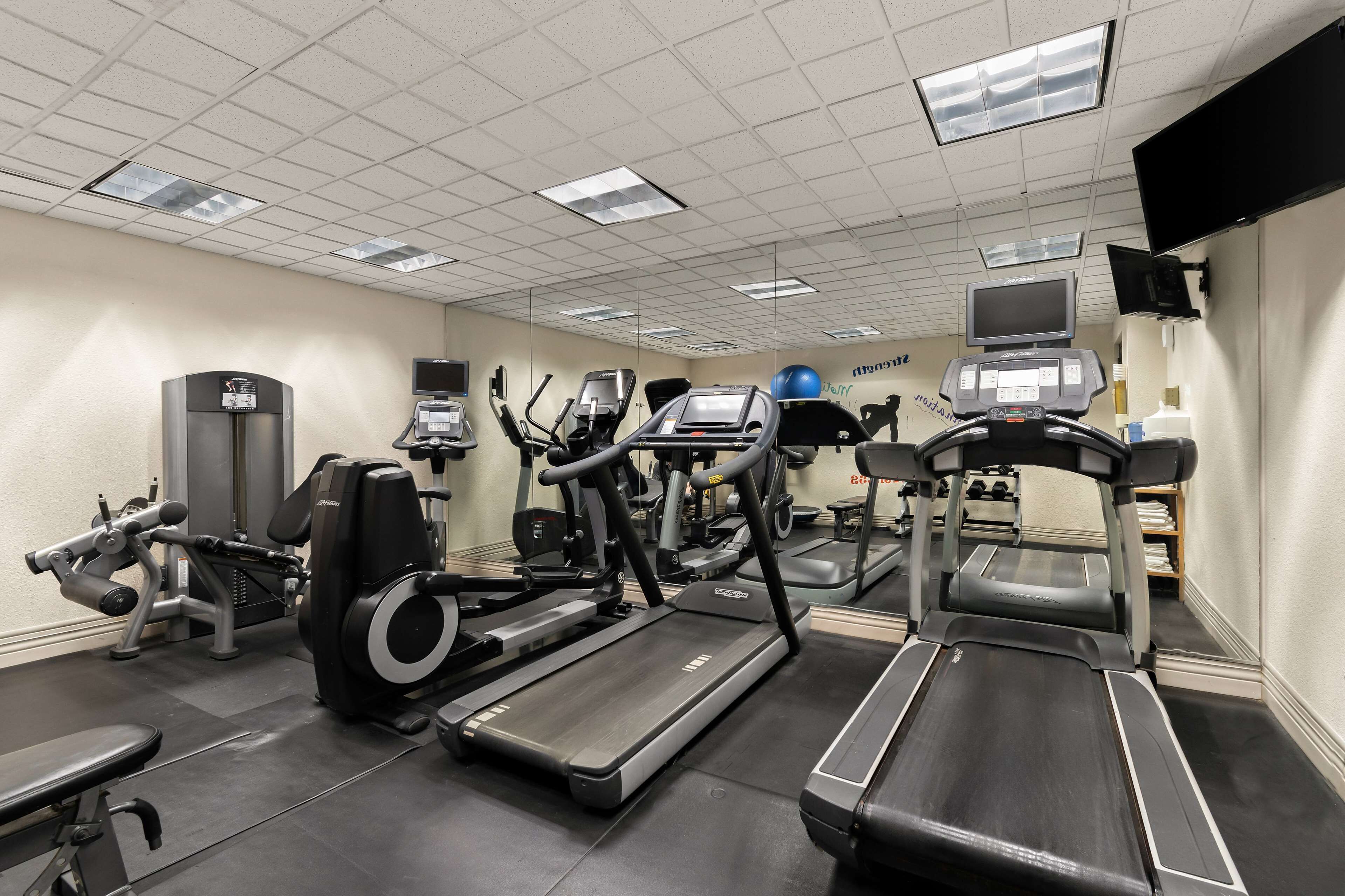 A gym with treadmills, elliptical machines, and weight equipment.