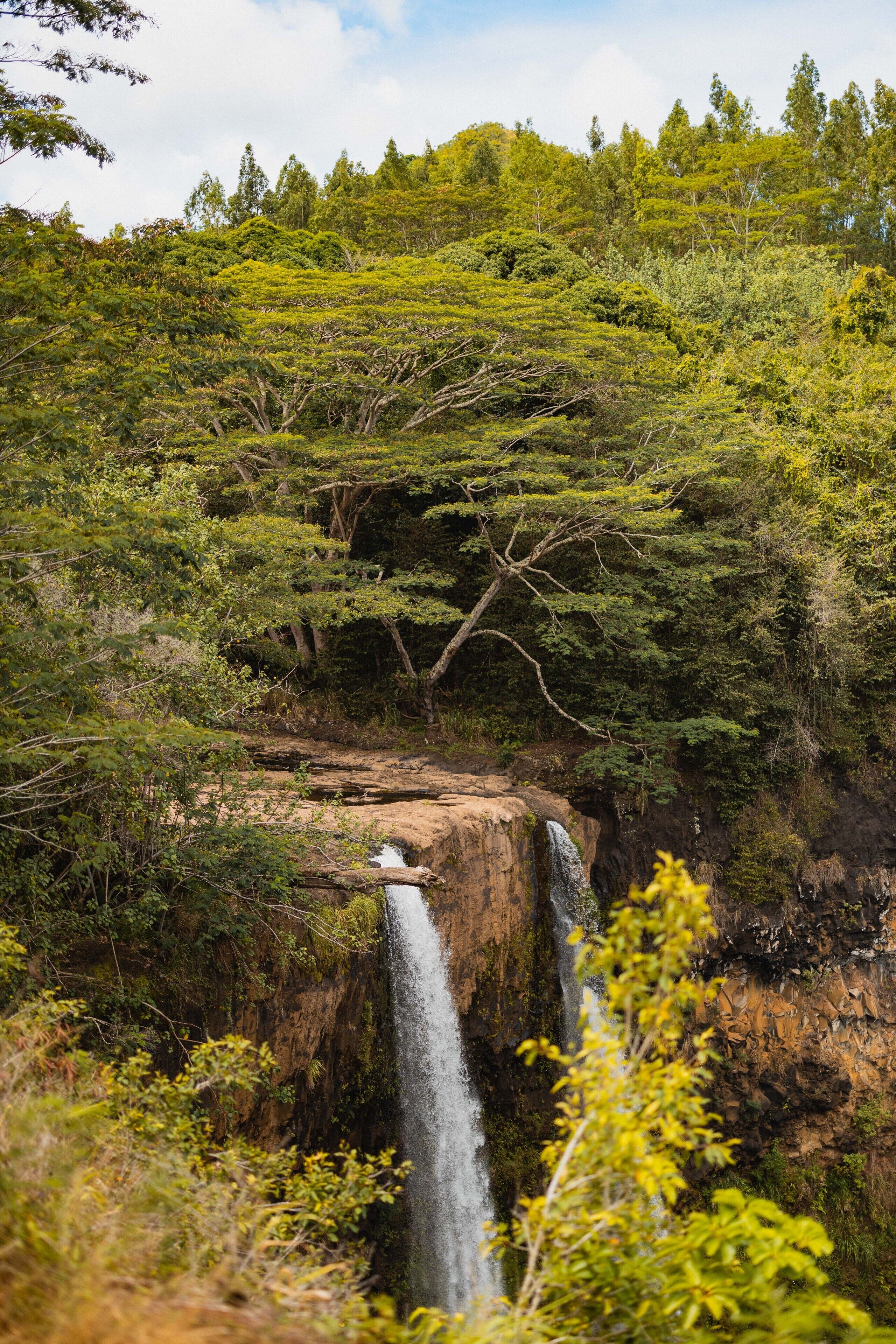 A waterfall in a lush, green forest setting.