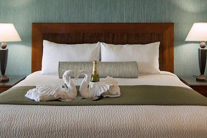 In-room safe, desk, blackout curtains, iron/ironing board