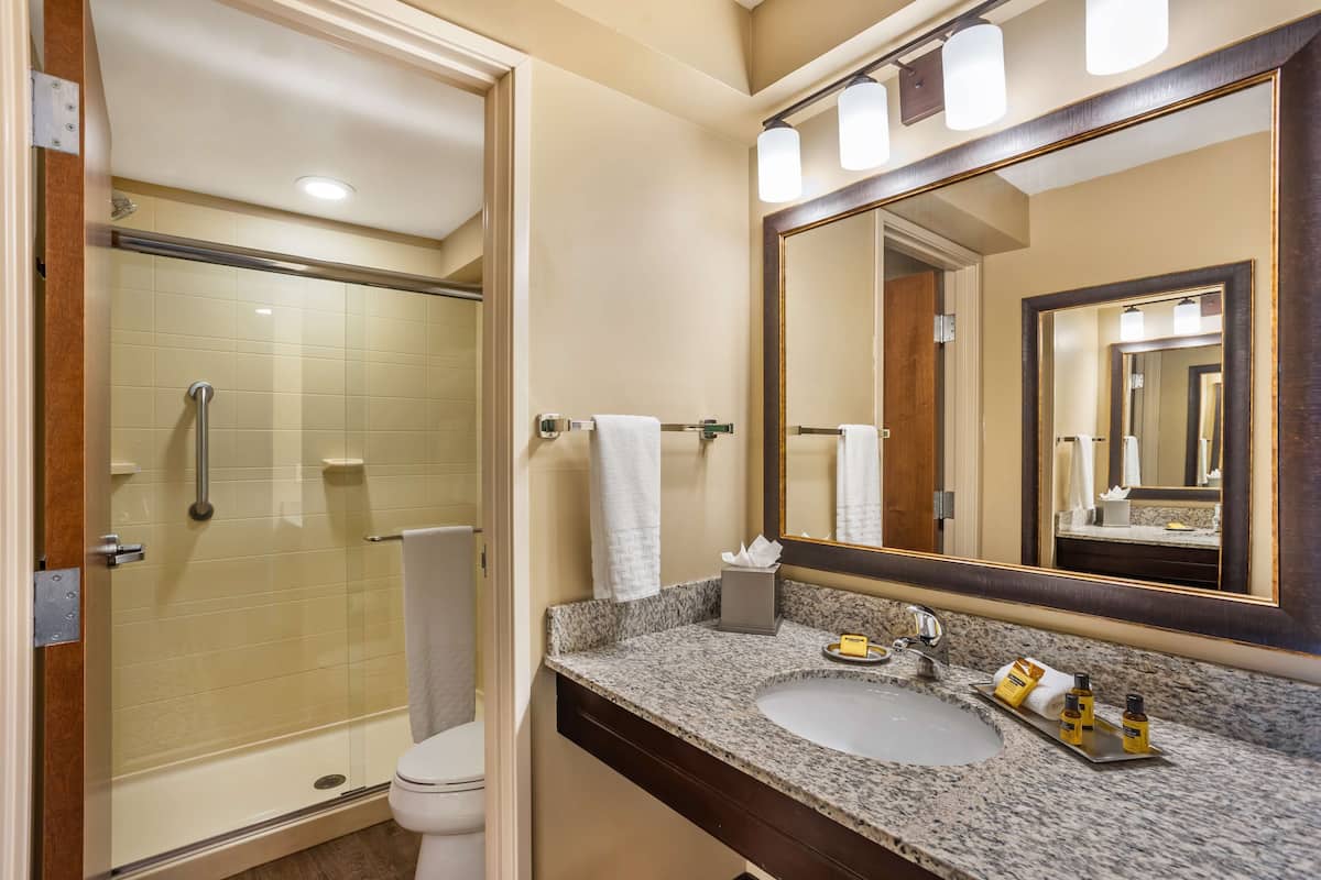 standard room, 1 queen bed, non smoking, refrigerator & microwave | bathroom | free toiletries, hair dryer, towels