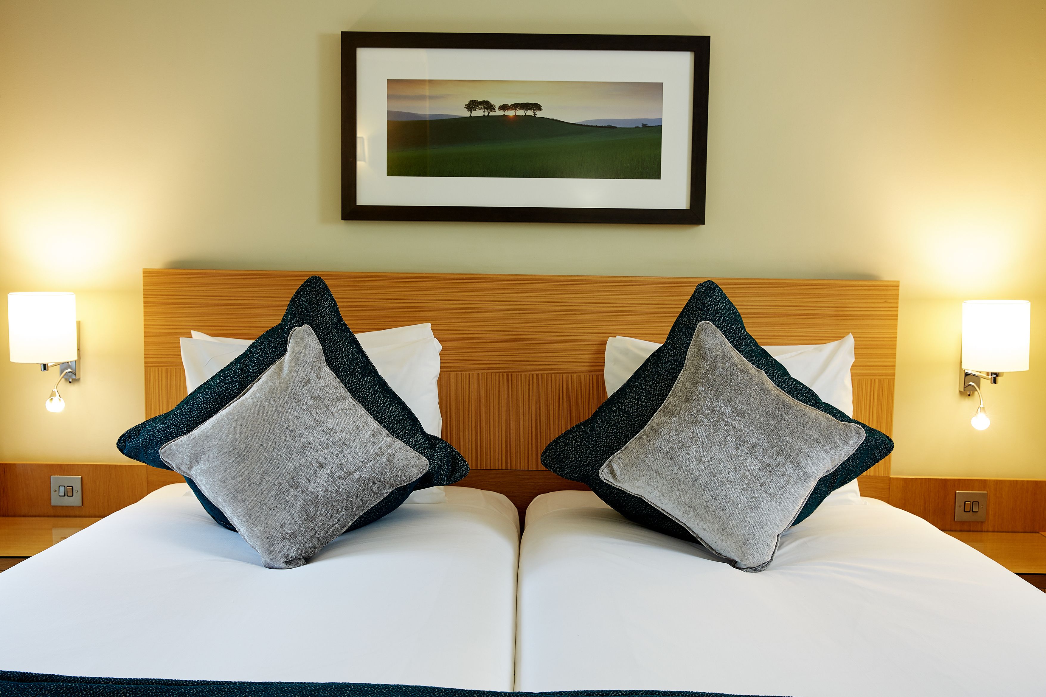 executive twin room, 2 single beds | premium bedding, in-room safe, desk, laptop workspace