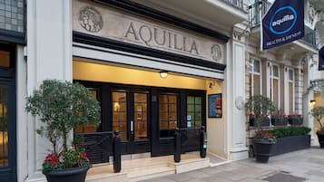 Academia