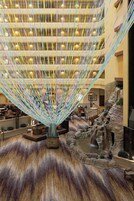 Vista desde la propiedad