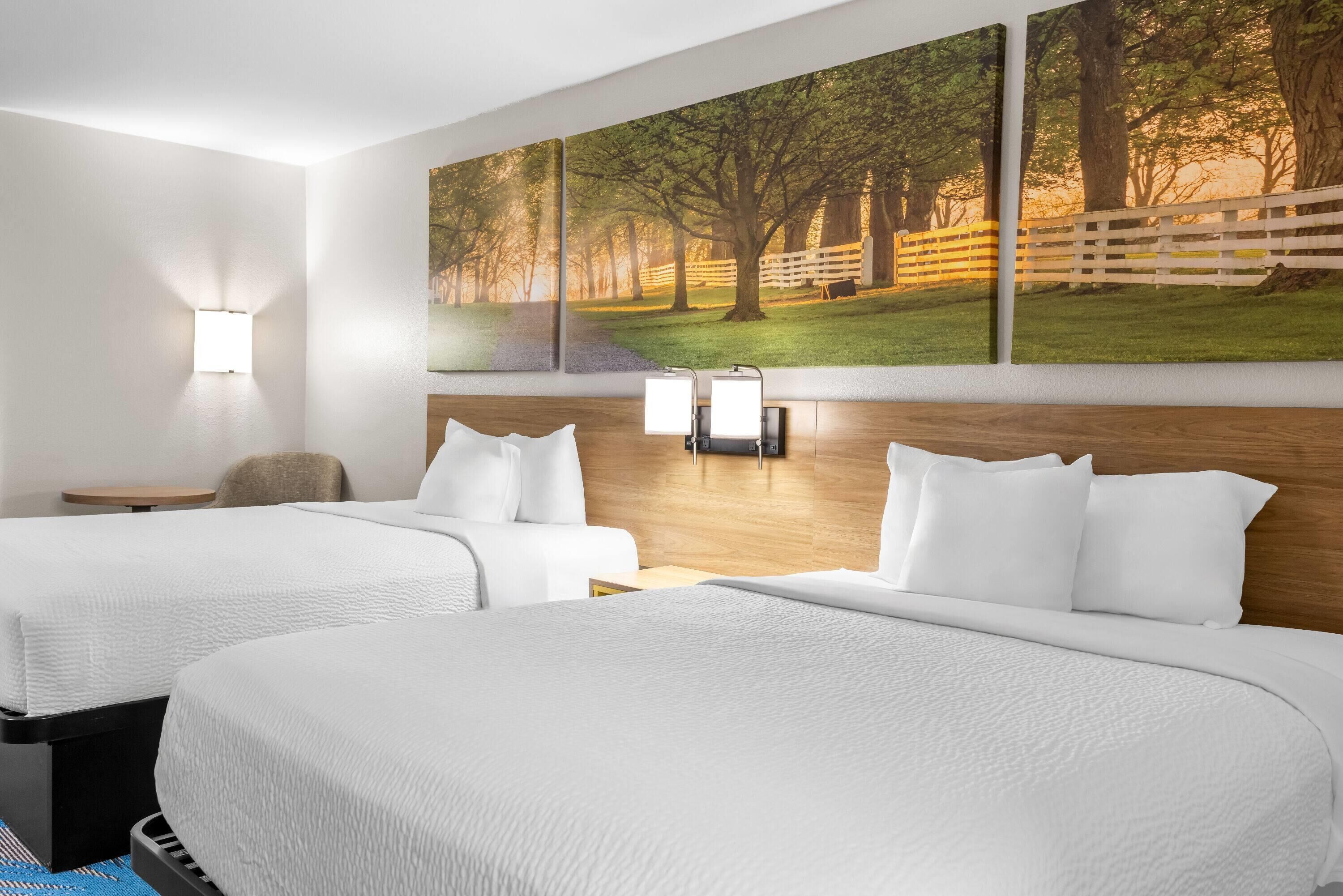 Premium bedding, in-room safe, desk, blackout curtains