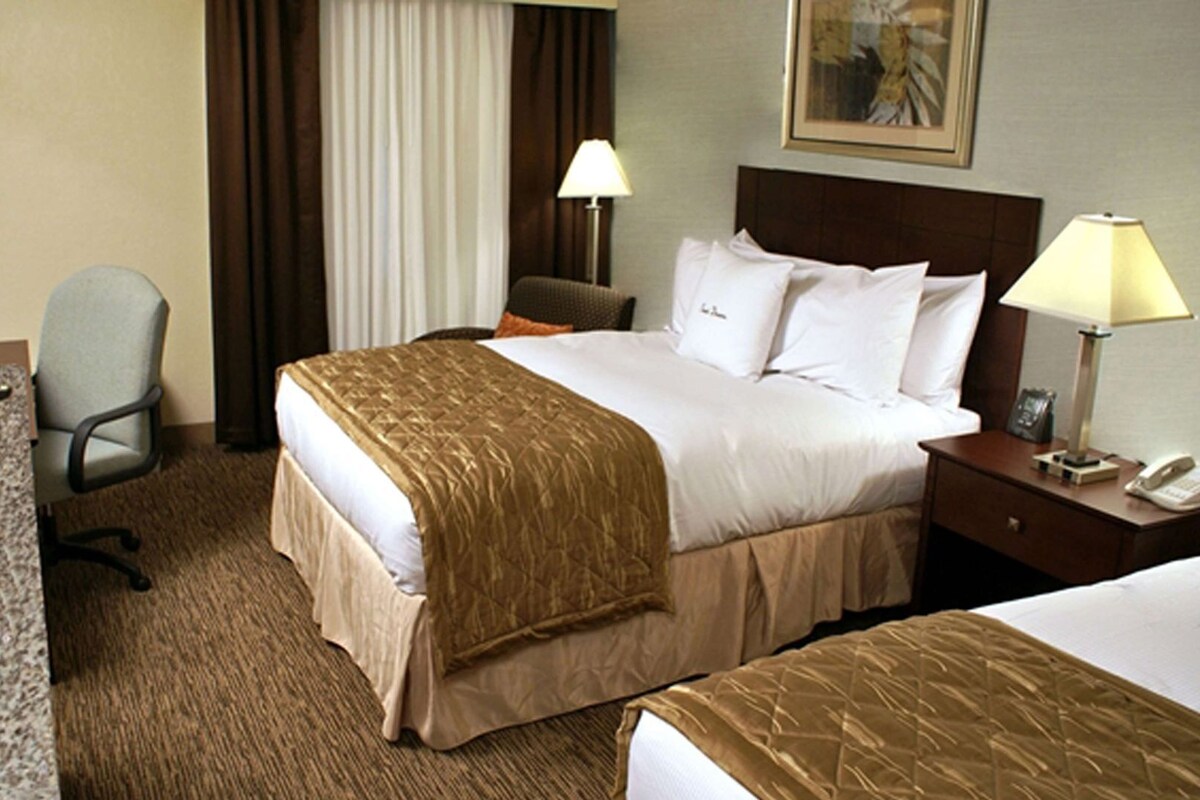 A hotel room with a bed, a desk, a chair, a TV, and a lamp.