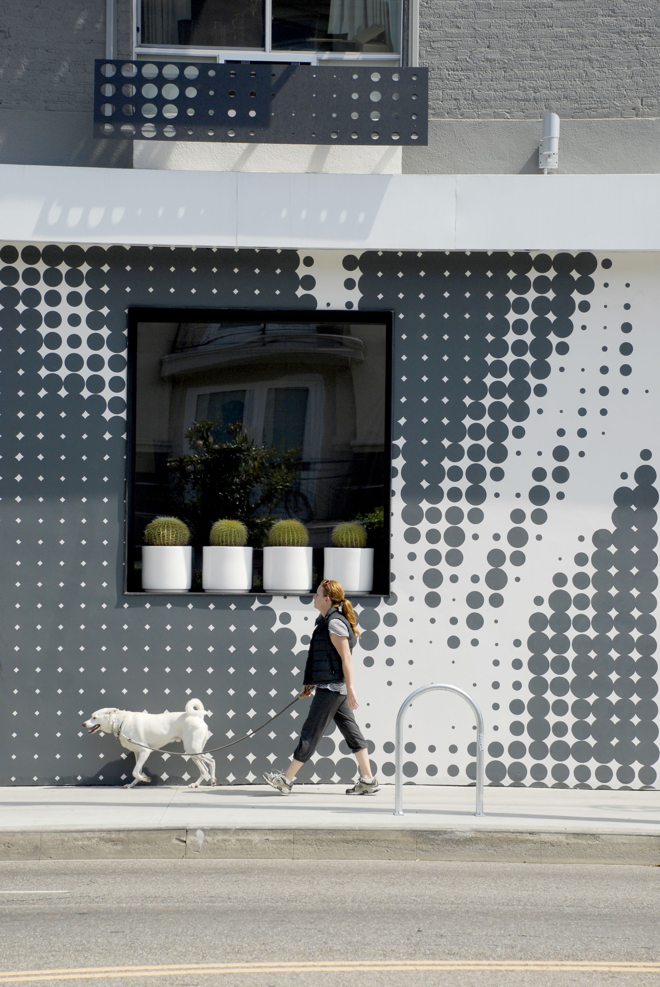 Un bâtiment à l’architecture moderne, doté d’une grande fenêtre ornée de plantes en pot et d’un motif géométrique sur le mur.