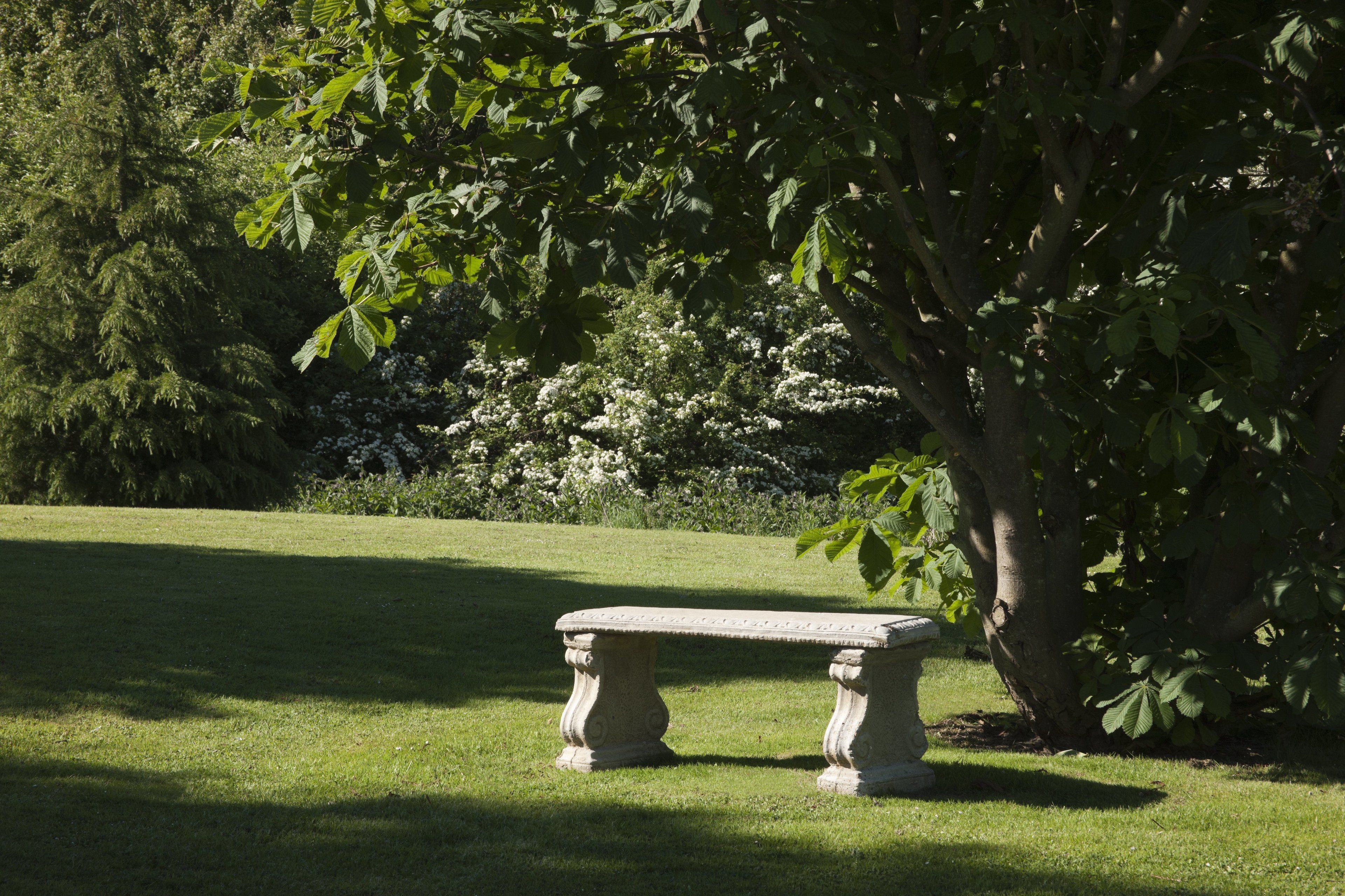 A stone bench in a grassy area with trees and flowering bushes in the background.