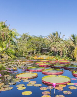 Ecotours - Naples Beach Club, A Four Seasons Resort (Naples)