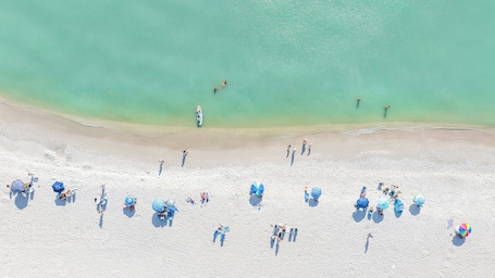 On the beach, white sand, sun-loungers, beach umbrellas. Naples Beach Club, A Four Seasons Resort