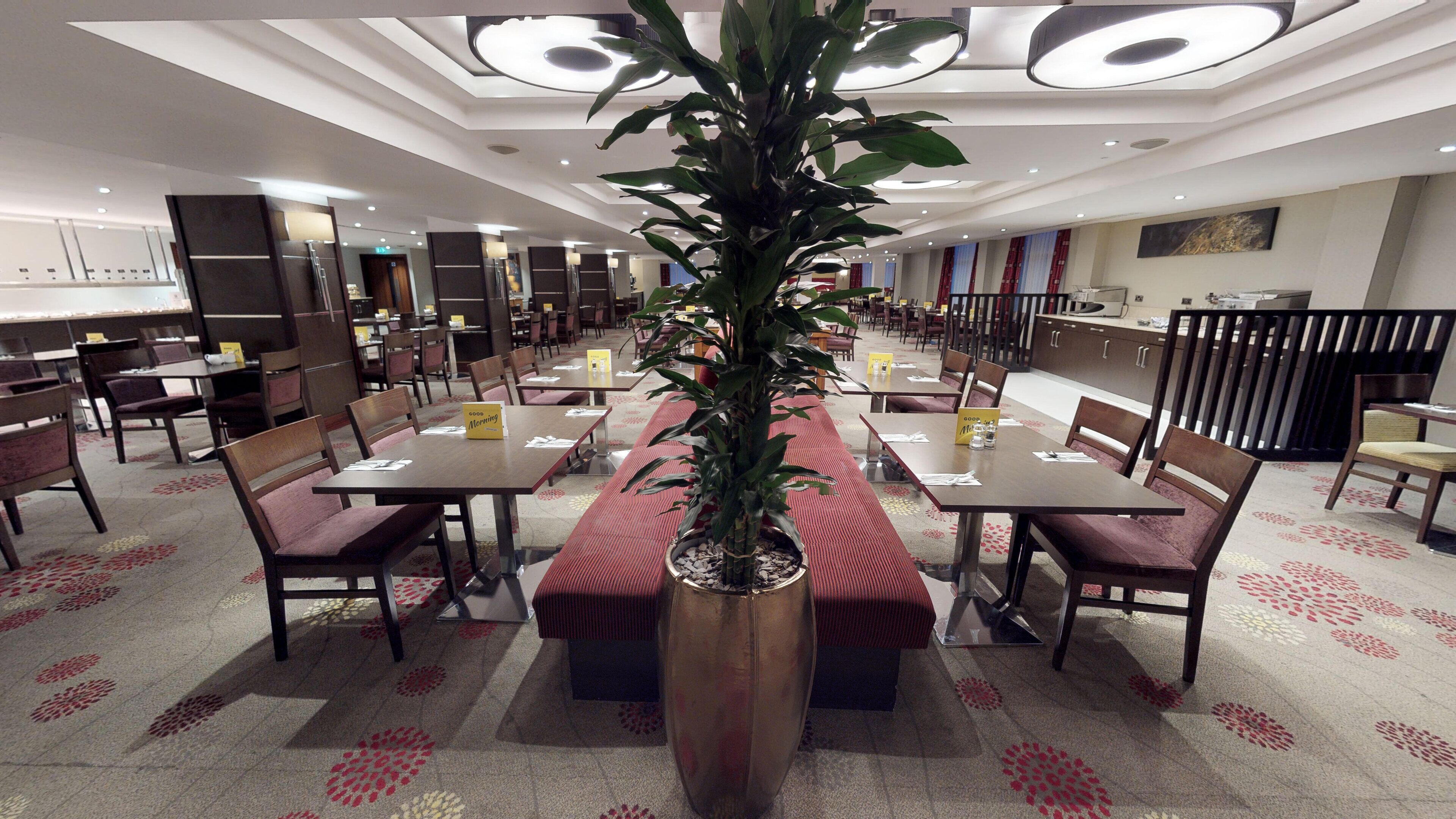 Un comedor amplio con varias mesas y sillas, una planta en maceta en el centro y un diseño moderno en el techo.