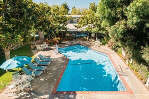 Piscine extérieure, parasols de plage, chaises longues