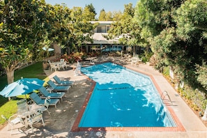 Outdoor pool, pool umbrellas, pool loungers