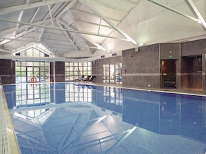 Indoor pool, sun loungers