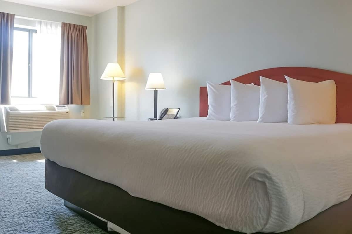 Premium bedding, pillowtop beds, iron/ironing board, WiFi (free)
