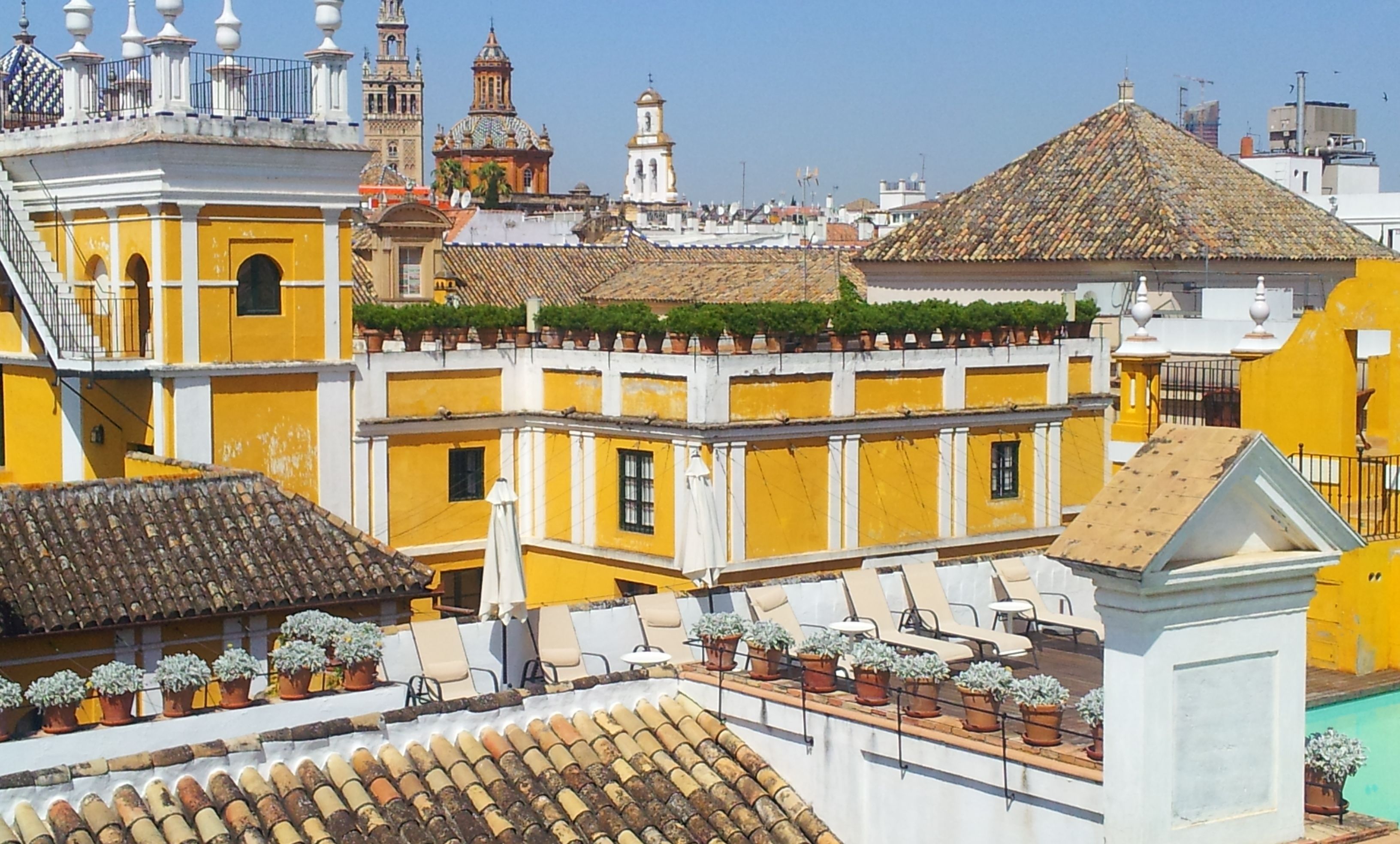 Vista desde la propiedad