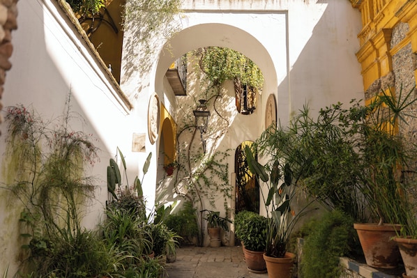 Un pasaje arqueado con plantas en macetas, un farol colgante y una pared amarilla.