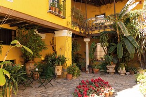 Un patio con plantas en macetas, una mesita y sillas.