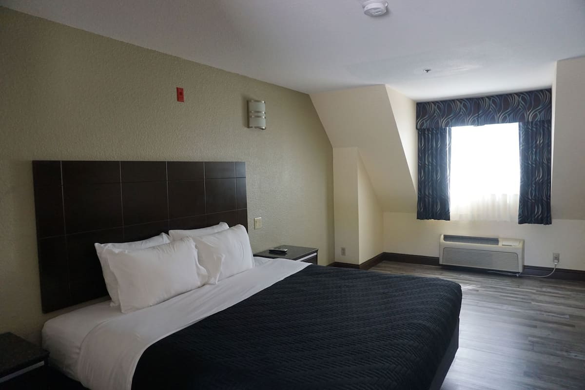A hotel room with a large bed, a nightstand, a lamp, a window with curtains, and a ceiling light.