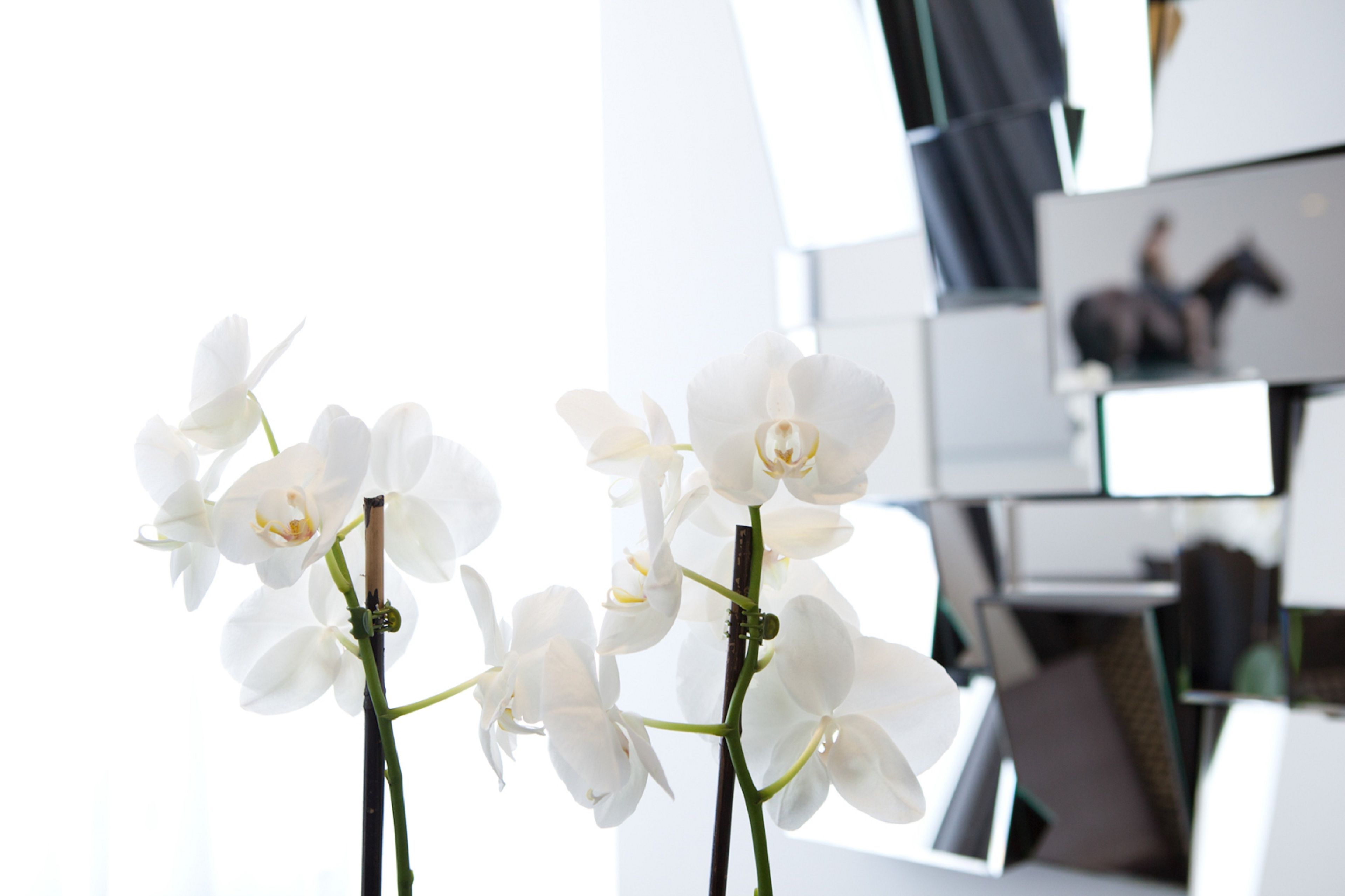 hypo-allergenic bedding, pillow-top beds, minibar, in-room safe