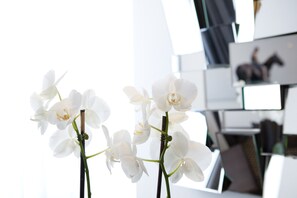 Un espacio de oficina moderno con orquídeas blancas en primer plano y un fondo desenfocado que muestra un escritorio y monitores de computadora.
