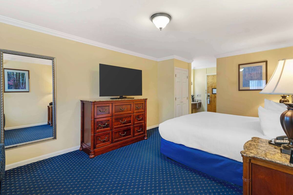 Standard Room, 1 King Bed, Non Smoking, Refrigerator & Microwave (Pet Friendly) | Premium bedding, laptop workspace, blackout drapes, iron/ironing board