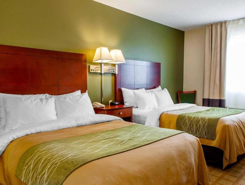 Soundproofing, rollaway beds, free WiFi, bed sheets