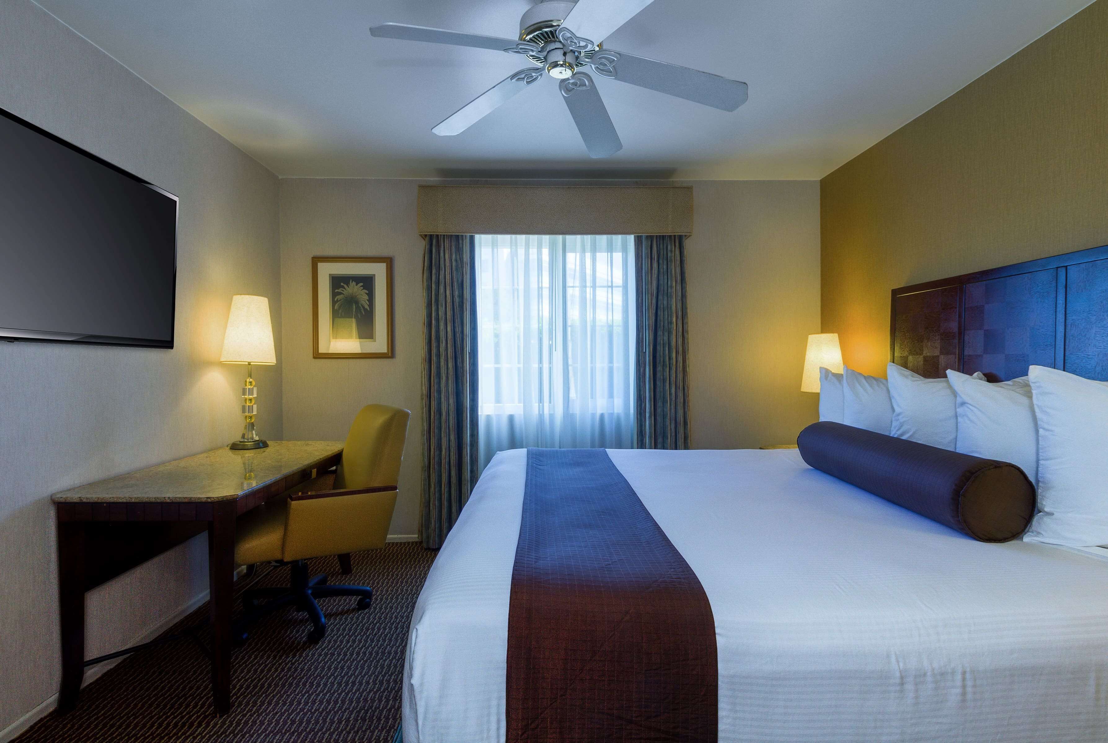 A hotel room with a bed, desk, chair, television, ceiling fan, and window with curtains.