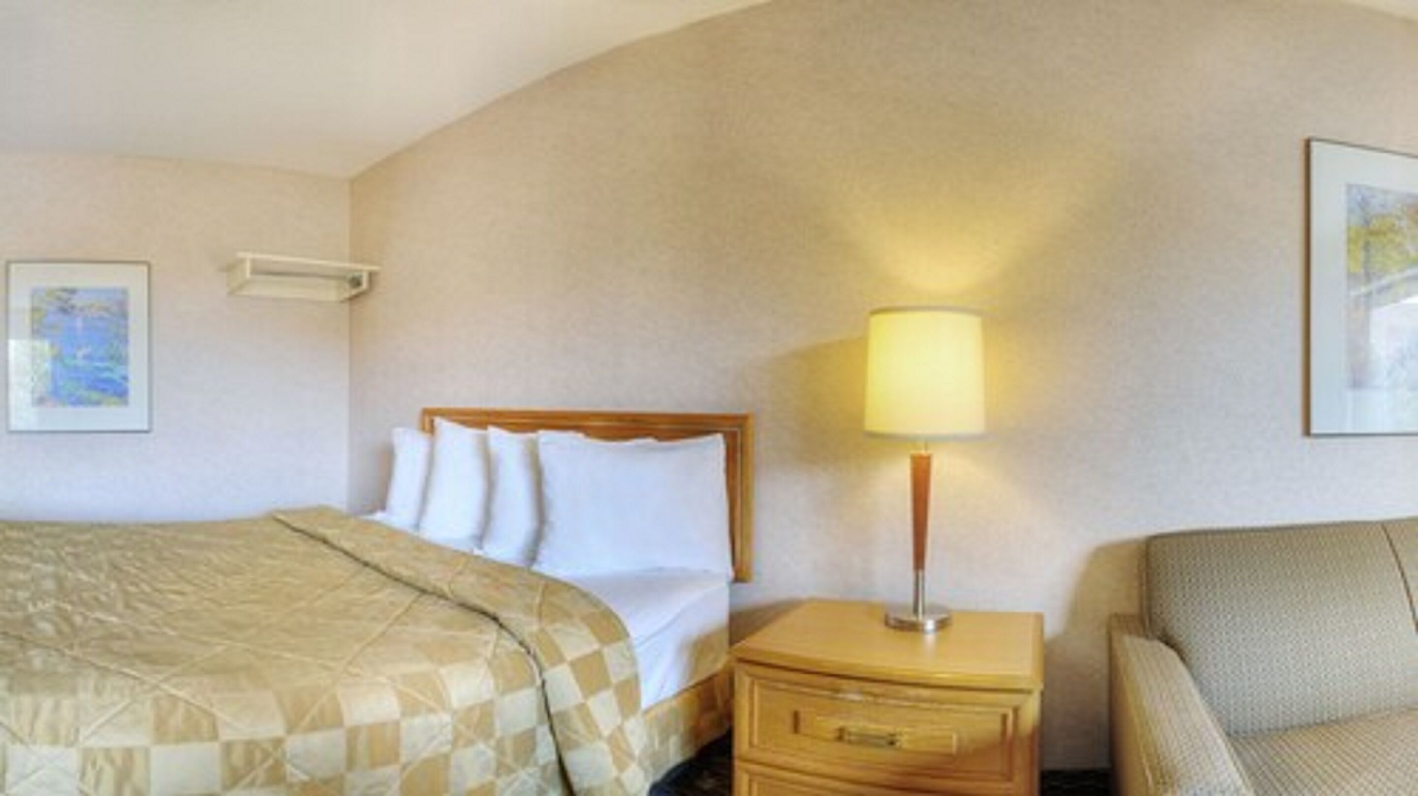 Una habitación de hotel con una cama, una mesita de noche con una lámpara y un sofá.