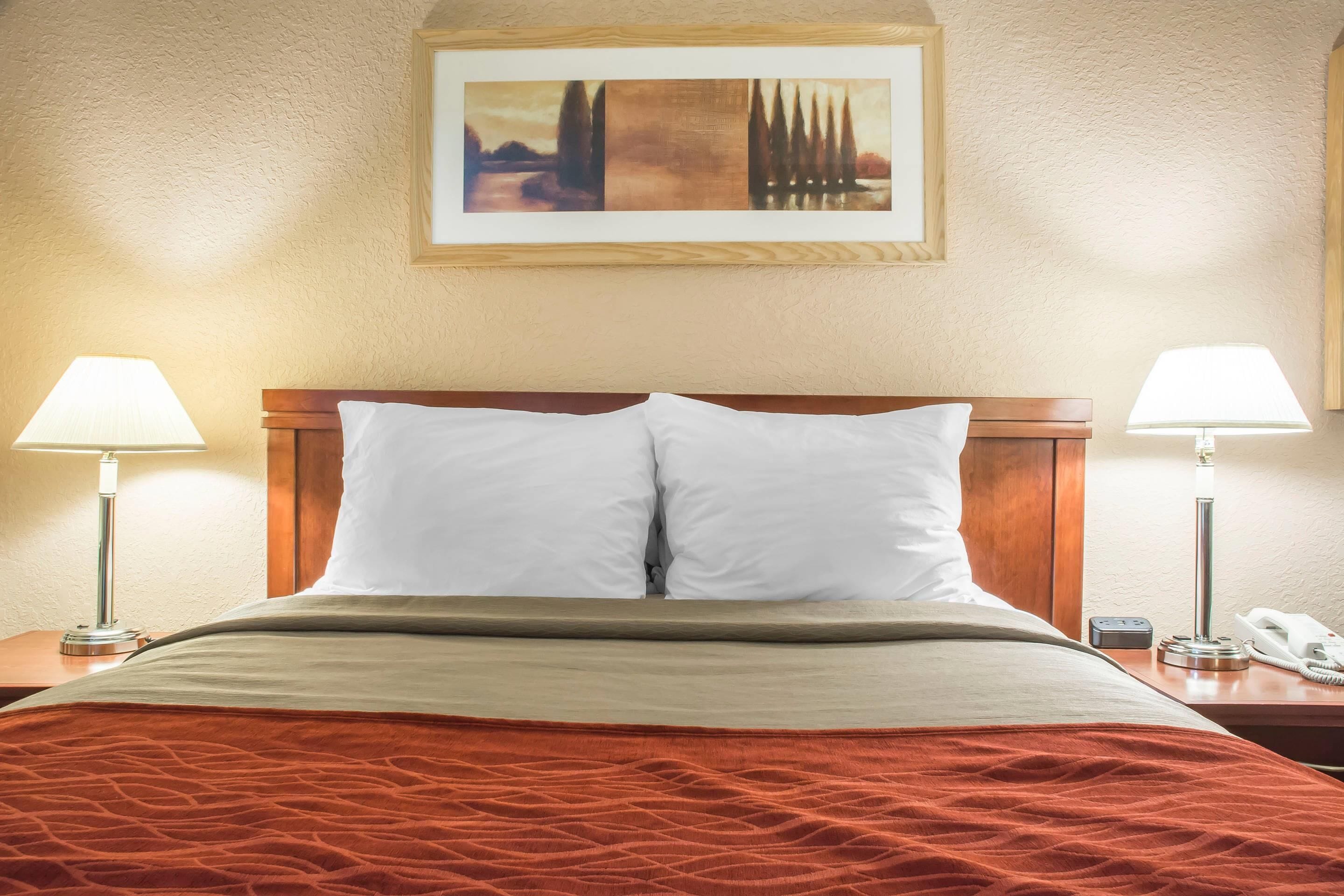 A hotel room with a large bed, two bedside lamps, a painting on the wall, and a telephone on the nightstand.